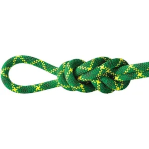 Apex 10.5mm Rope