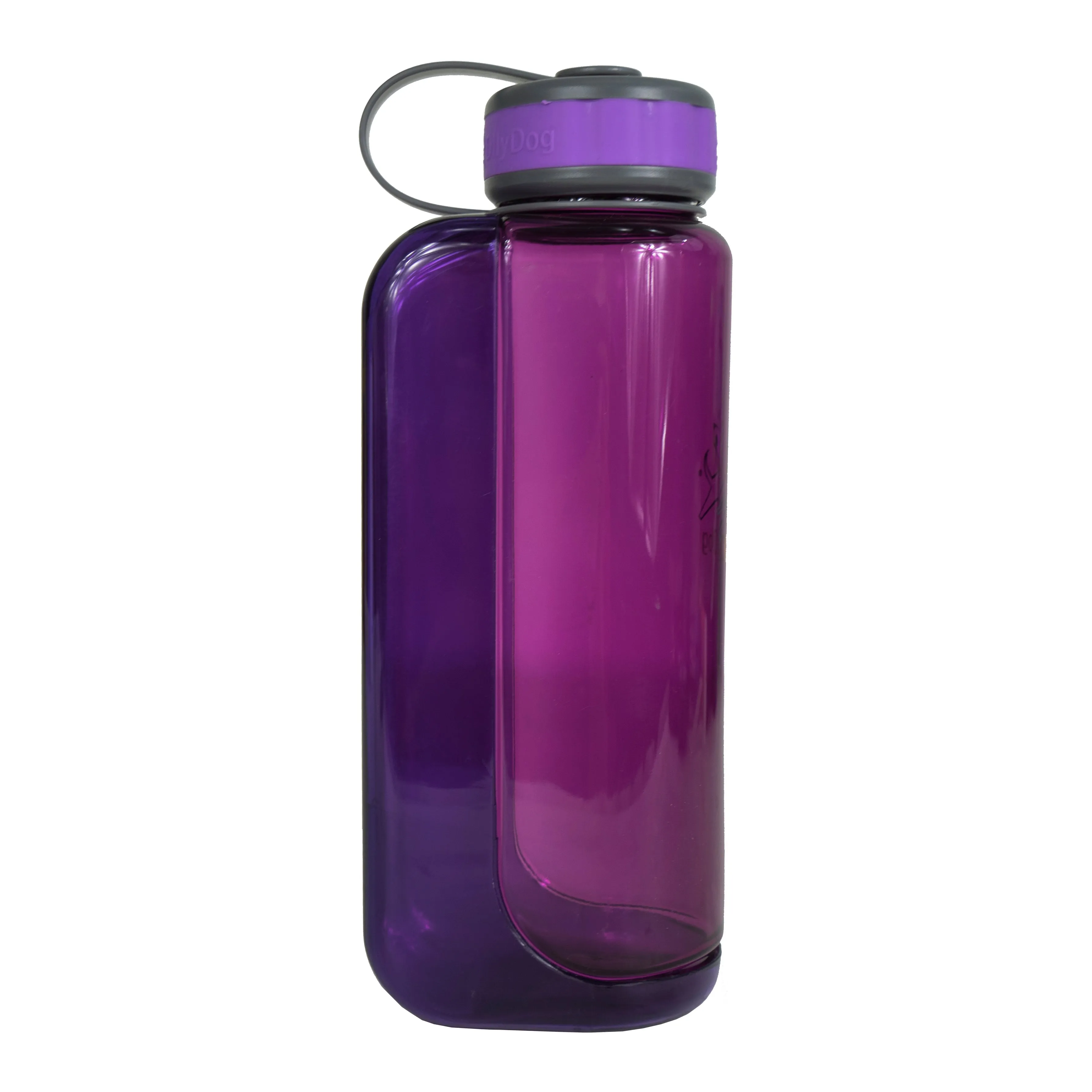 OllyBottle in Plum | Water Sharing System