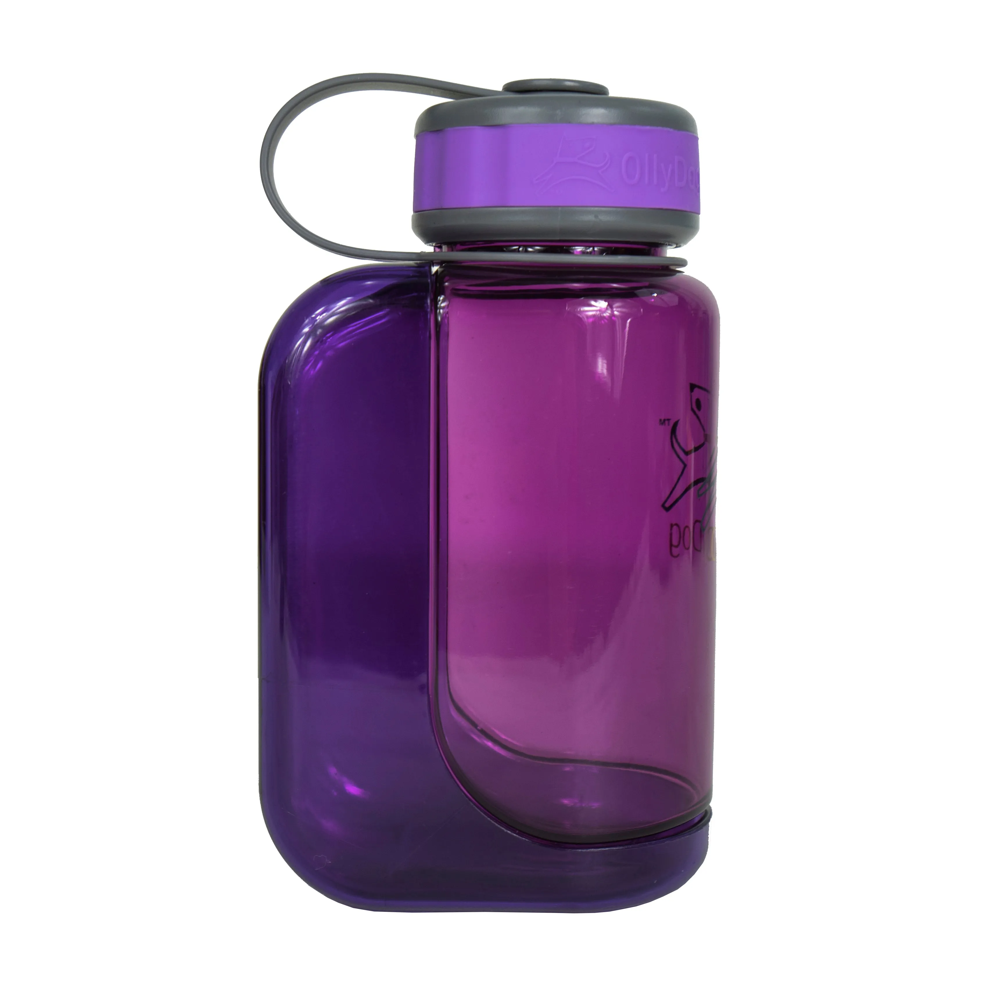 OllyBottle in Plum | Water Sharing System